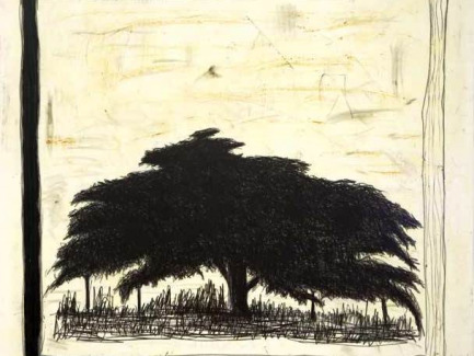 Gonzalo Cao. Fantasma. 2005. Polivinilo y grafito / tela. 178,3 x 203 cm.
